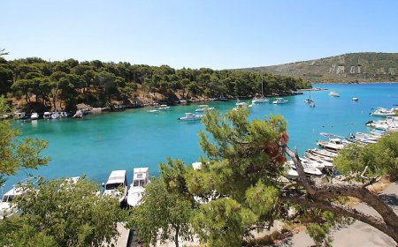 Apartmani Elvi Primošten