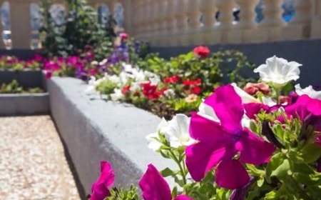 Apartments Dream Baška