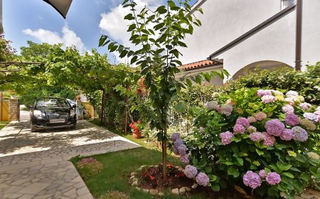 Apartmanok Parkolóhellyel Valbandon, Fazana - 19663 Valbandon