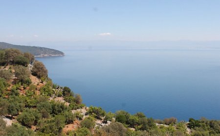 Apartmanok Internet Hozzáféréssel Beli, Cres - 8094 Beli