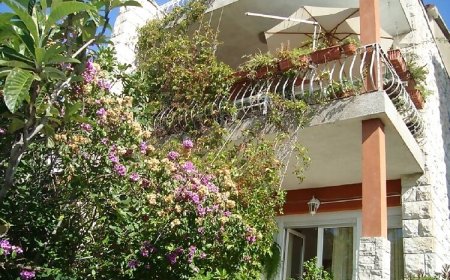 Apartmani Dane Makarska