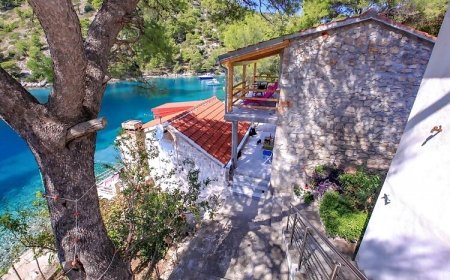 Robinson Jela Selca kod Bogomolja