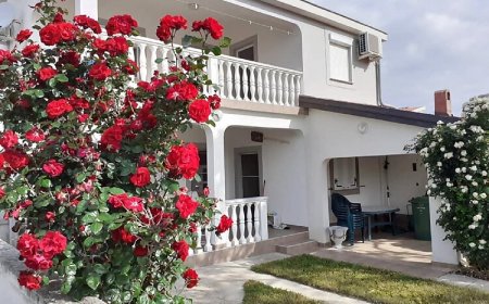Apartmani Tihana Vir