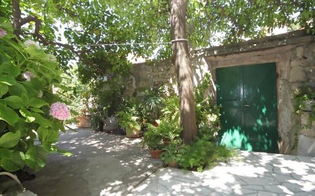 Apartman Milu Cavtat