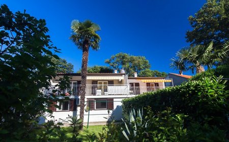 Apartment Lesic Njivice