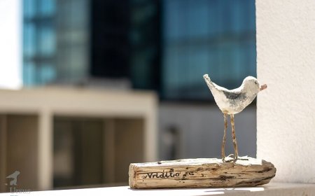 Apartment Mina Split