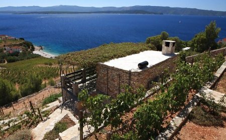 Robinson House Tanika Vela Farska