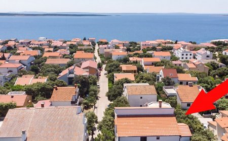 Apartments Ante Mandre