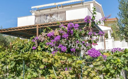 Apartments Neda Okrug Gornji