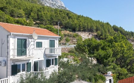 Apartments Djani Mimice