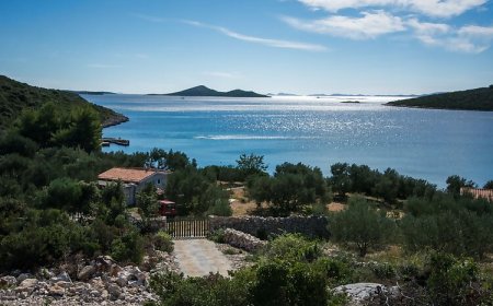 House Bellatrix Tkon