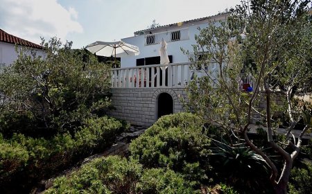 Apartment Elena Rogac