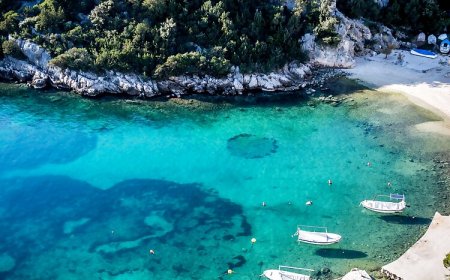 Apartment Srećko Vinisce