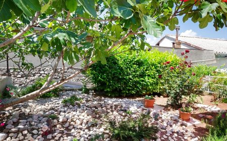 Apartments Klara Senj