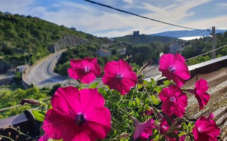 Apartmanok Parkolóhellyel Senj - 19751