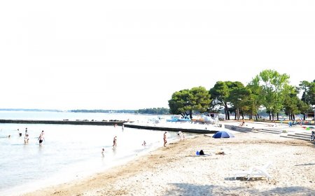 Apartments Angela Umag