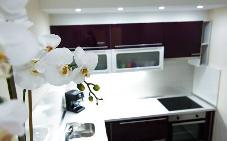 Apartment Songbird Biograd