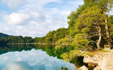 Apartments Paolo Okuklje