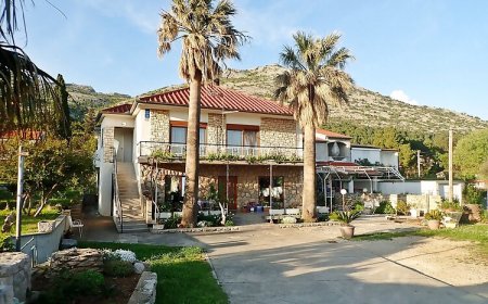 Apartmani 4 Palme Starigrad
