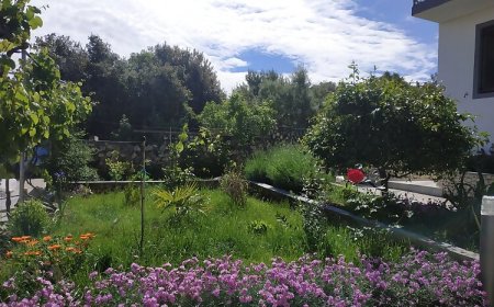 Apartman Lavanda Nova Ražanj