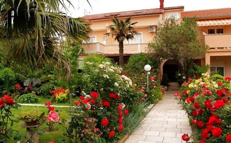 Apartmanok Parkolóhellyel Palit, Rab - 5028 Palit