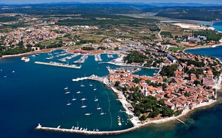 Apartman Golden Sun Novigrad