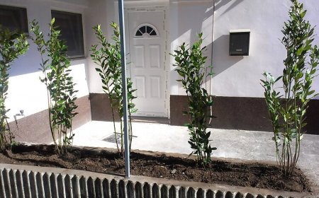 Apartman Nika Rijeka