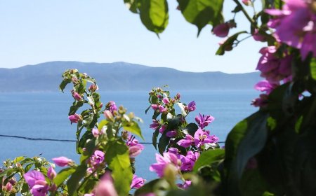 Apartmanok A Tenger Mellett Podaca, Makarska - 6745 Podaca