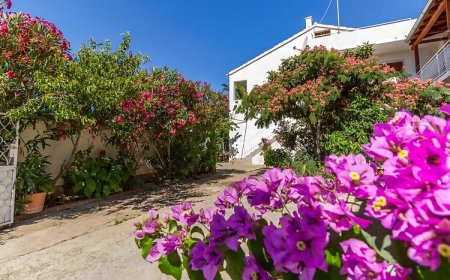 Apartmani Ana 1 Biograd na Moru