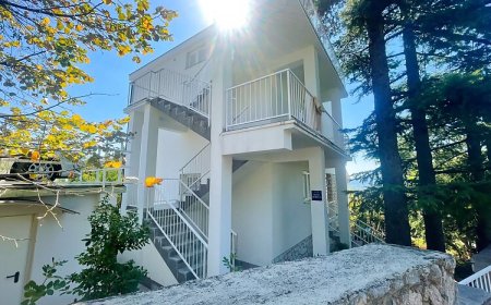 Apartments Dubravka Dramalj