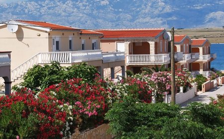 3 Pálma Apartman Vir