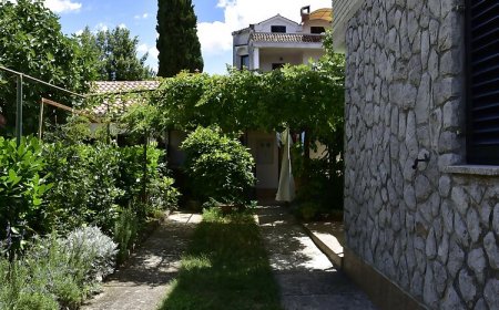 Apartment Palm Tree Malinska