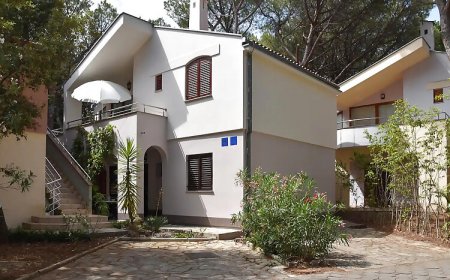 Apartman Biograd na Moru - CDI369