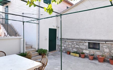 Apartment Aljoša Bol