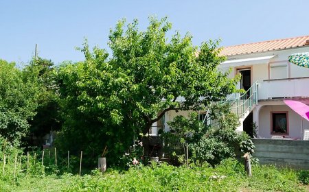 Apartments Ivan Lopar