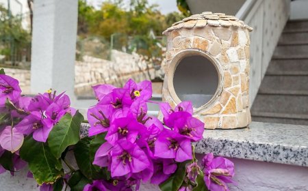 Apartments Mirjana Marina