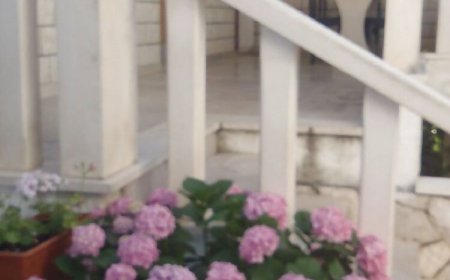 Apartmani Dragomil Sveta Nedelja