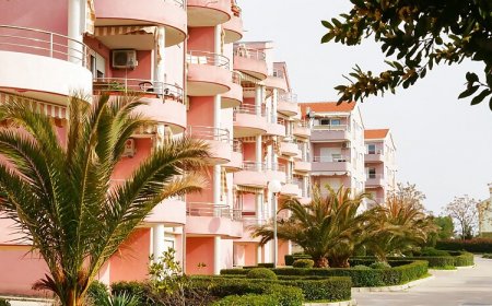 Apartment Nicol Zadar