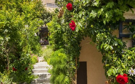 Apartmani Vesna i Toni Premantura