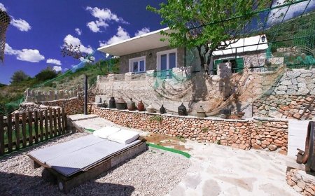 Robinson House Veritas Bol