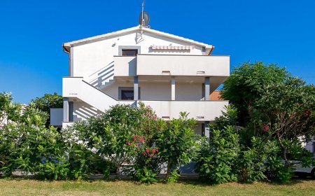 Apartman Barbat - CKR162