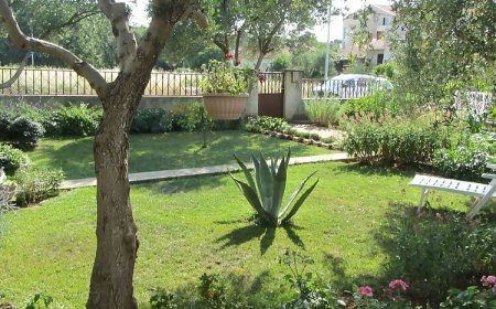 Apartments Mactra Biograd