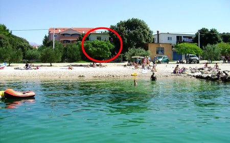 Apartmanok A Tenger Mellett Vrsi - Mulo, Zadar - 5790 Vrsi - Mulo