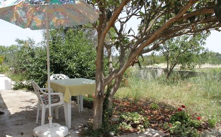 Apartmanok Parkolóhellyel Bozava, Dugi Otok - 8108 Božava