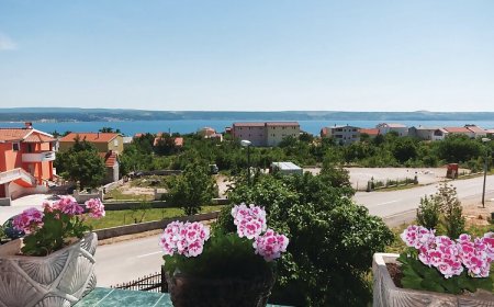 Apartman Maslenica - CDZ681