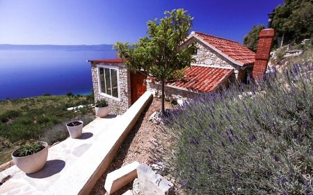 Robinson House Orpheus Bol