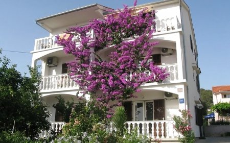 Apartmanok A Tenger Mellett Barbat, Rab - 17620 Barbat