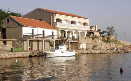 Apatmani Tasa Lukovo Šugarje