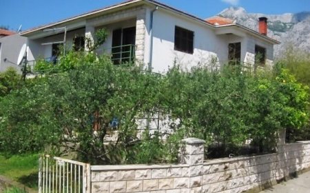 Apartments Anto Orebic