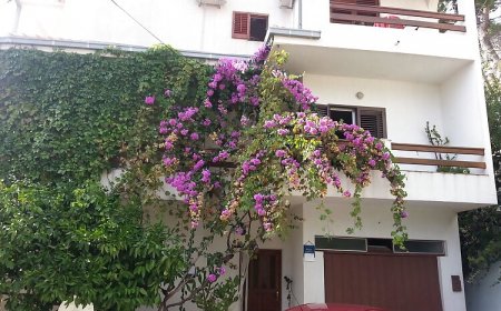 Apartman Zvone Sumpetar